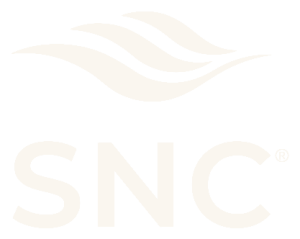 SNC Consultants — Synergy & Credible